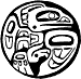 Northwest Raven