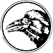 Raven
